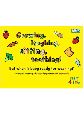 Growing, laughing, sitting, teething (screen saver)