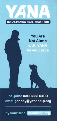 You are not alone with YANA by your side 