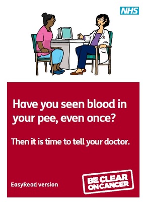 Have you seen blood in your pee, even once? Then it is time to tell your doctor (easy read)